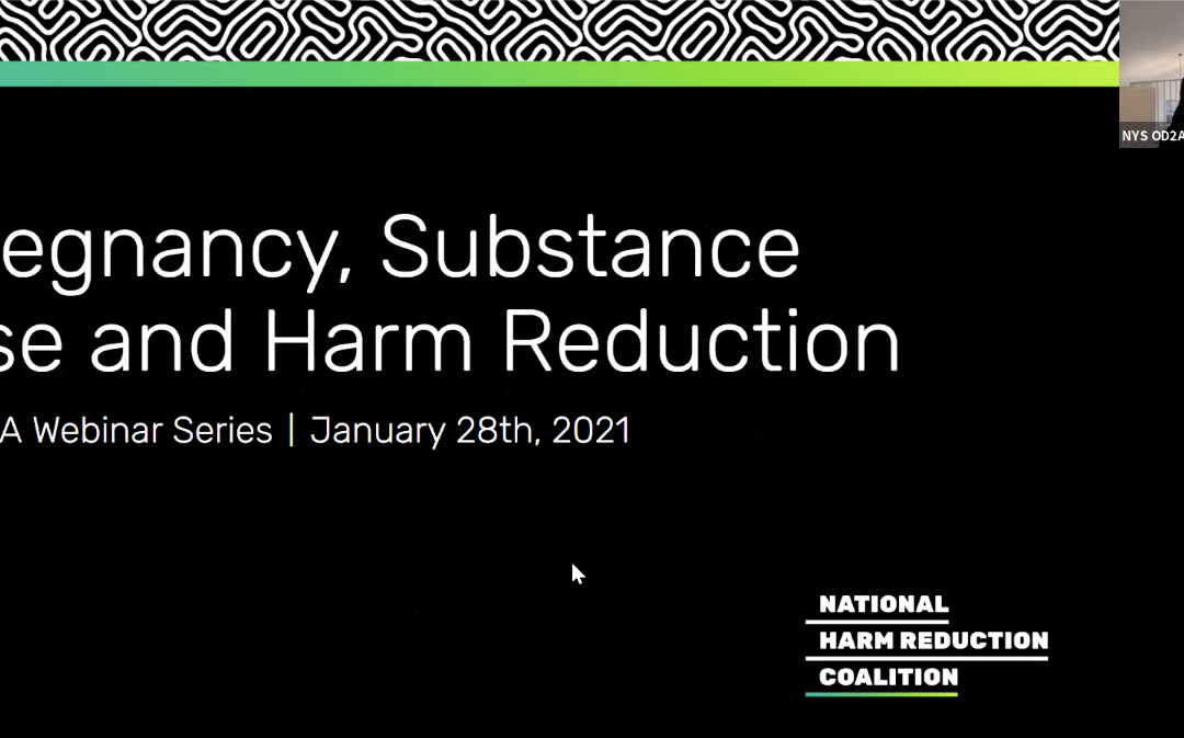 Webinar on Demand: “Substance Use and Pregnancy” with Kimberly Sue, MD, PhD and Dana Kurzer-Yashin